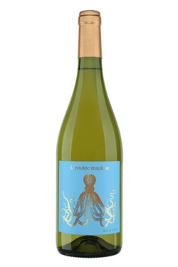 Igp Cotes Du Tarn Sauvignon Blanc Poulpe Magique Arbeau 2024 Bio