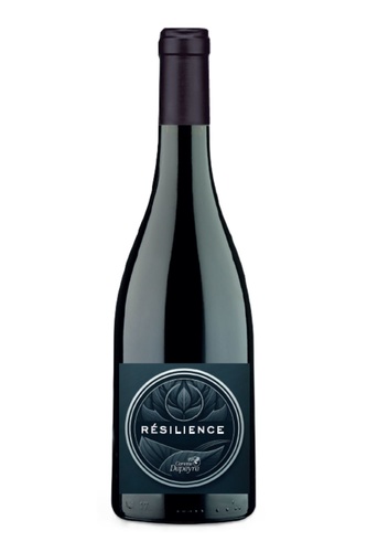 IGP MEDITERANNEE RGE RESILIENCE CORINNE DEPEYRE 2024 BIO