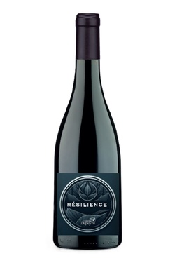 Igp Mediterannee Rge Resilience Corinne Depeyre 2024 Bio